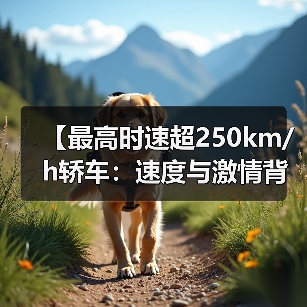 【最高时速超250km/h轿车:速度与激情背后的真相揭秘】(图3) 【最高时速超250km/h轿车:速度与激情背后的真相揭秘】(图3)