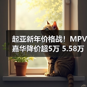起亚新年价格战!MPV嘉华降价超5万 5.58万起售(图3) 起亚新年价格战!MPV嘉华降价超5万 5.58万起售(图3)