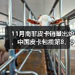 11月南非皮卡销量出炉，中国皮卡包揽第8、9名