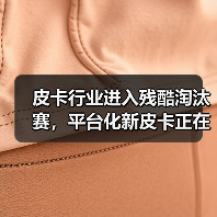 皮卡行业进入残酷淘汰赛,平台化新皮卡正在赢家通吃(图2) 皮卡行业进入残酷淘汰赛,平台化新皮卡正在赢家通吃(图2)