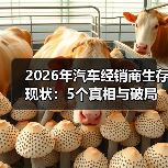 2026年汽车经销商生存现状：5个真相与破局路线图