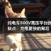 纯电车800V高压平台优缺点:充电更快的背后,你要付出的3个代价(图4) 纯电车800V高压平台优缺点:充电更快的背后,你要付出的3个代价(图4)