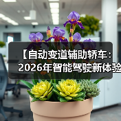 【自动变道辅助轿车：2026年智能驾驶新体验完全解析】