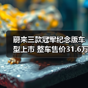 蔚来三款冠军纪念版车型上市 整车售价31.6万元（图4）