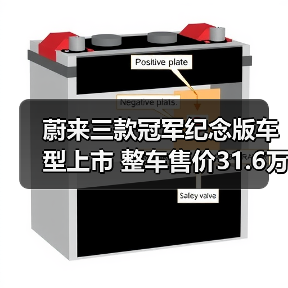 蔚来三款冠军纪念版车型上市 整车售价31.6万元（图3）