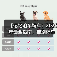【记忆泊车轿车：2026年最全指南，告别停车难的终极解决方案】（图4）