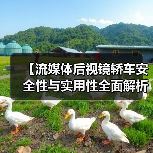 【流媒体后视镜轿车安全性与实用性全面解析，2026年最新选购指南】