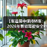 【车道居中保持轿车：2026年智能驾驶安全新标准全面解析】