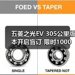 五菱之光EV 305公里版本开启盲订 限时1000元抵3（图2）