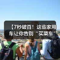【7秒破百！这些家用车让你告别“买菜车”标签，性能与实用兼得】（图4）