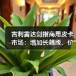 吉利雷达剑指商用皮卡市场：增加长箱版、价格或低至10万起