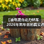 【油电混合动力轿车:2026年购车者的真实选择指南】(图2) 【油电混合动力轿车:2026年购车者的真实选择指南】(图2)