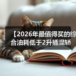 【2026年最值得买的综合油耗低于2升插混轿车，这5款不看后悔】（图4）