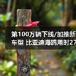 第100万辆下线/加推新车型 比亚迪海鸥用时27个（图2）