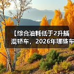 【综合油耗低于2升插混轿车,2026年哪些车型最值得买?】(图3) 【综合油耗低于2升插混轿车,2026年哪些车型最值得买?】(图3)