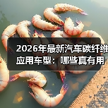 2026年最新汽车碳纤维应用车型:哪些真有用,哪些只是“面子工程”?(图3) 2026年最新汽车碳纤维应用车型:哪些真有用,哪些只是“面子工程”?(图3)