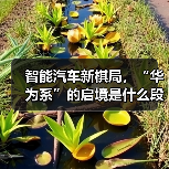 智能汽车新棋局，“华为系”的启境是什么段位？