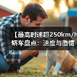 【最高时速超250km/h轿车盘点：速度与激情背后的真相】（图1）