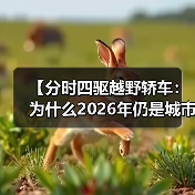 【分时四驱越野轿车：为什么2026年仍是城市SUV的终极选择？】（图3）