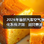 2026年最新汽车空气净化系统评测:别只看滤芯,真正拉开差距的是这3点(图3) 2026年最新汽车空气净化系统评测:别只看滤芯,真正拉开差距的是这3点(图3)