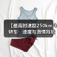 【最高时速超250km/h轿车：速度与激情背后的真相揭秘】（图4）