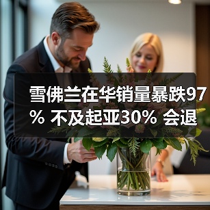 雪佛兰在华销量暴跌97% 不及起亚30% 会退出中国吗?(图3) 雪佛兰在华销量暴跌97% 不及起亚30% 会退出中国吗?(图3)