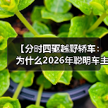 【分时四驱越野轿车：为什么2026年聪明车主都在选择这种配置】（图3）