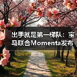 出手就是第一梯队：宝马联合Momenta发布中国专属智驾系统（图3）