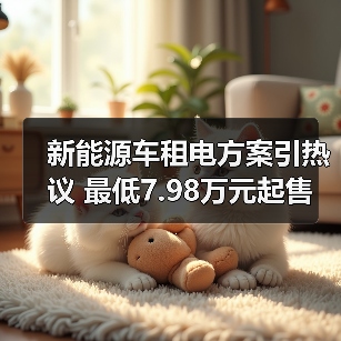 新能源车租电方案引热议 最低7.98万元起售(图4) 新能源车租电方案引热议 最低7.98万元起售(图4)