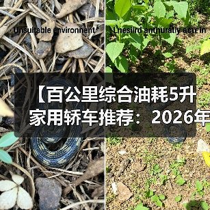 【百公里综合油耗5升家用轿车推荐：2026年省油车型终极指南】