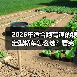 2026年适合跑高速的稳定型轿车怎么选？看完少花冤枉钱（图1）