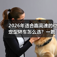 2026年适合跑高速的稳定型轿车怎么选？一篇讲透底盘、风噪与安全（图2）