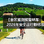 【盲区监测预警轿车：2026年安全出行新标准】（图3）