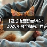 【透明底盘影像轿车：2026年最全指南，看完少走3年弯路】（图3）