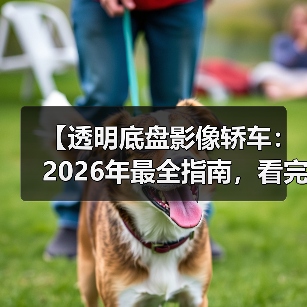 【透明底盘影像轿车：2026年最全指南，看完少走3年弯路】（图2）