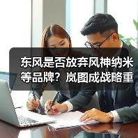 东风是否放弃风神纳米等品牌？岚图成战略重心（图3）