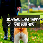 北汽极狐 北汽极狐