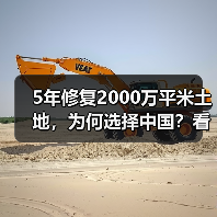 5年修复2000万平米土地，为何选择中国？看绿带行动的可持续实践（图2）
