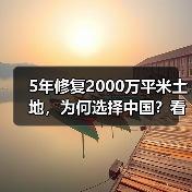 5年修复2000万平米土地，为何选择中国？看绿带行动的可持续实践（图4）