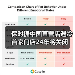 保时捷中国直营店遇冷 首家门店24年将关闭（图1）