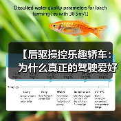 【后驱操控乐趣轿车:为什么真正的驾驶爱好者都在选择它?】(图2) 【后驱操控乐趣轿车:为什么真正的驾驶爱好者都在选择它?】(图2)