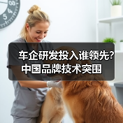 车企研发投入谁领先？中国品牌技术突围（图2）