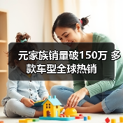 元家族销量破150万 多款车型全球热销(图4) 元家族销量破150万 多款车型全球热销(图4)