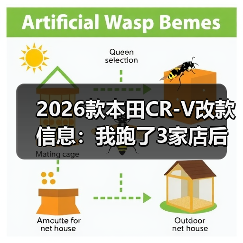 2026款本田CR-V改款信息：我跑了3家店后发现的5个关键变化（图1）