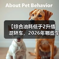 【综合油耗低于2升插混轿车，2026年哪些车型最值得买？】（图2）