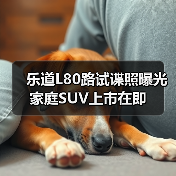 乐道L80路试谍照曝光 家庭SUV上市在即(图4) 乐道L80路试谍照曝光 家庭SUV上市在即(图4)