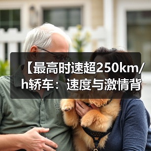 【最高时速超250km/h轿车:速度与激情背后的真相揭秘】(图4) 【最高时速超250km/h轿车:速度与激情背后的真相揭秘】(图4)