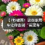 【7秒破百!这些家用车让你告别“买菜车”标签,性能与实用兼得】(图1) 【7秒破百!这些家用车让你告别“买菜车”标签,性能与实用兼得】(图1)