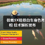 极氪9X极昼白车身色亮相 技术解析发布(图4) 极氪9X极昼白车身色亮相 技术解析发布(图4)