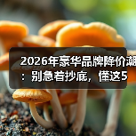 2026年豪华品牌降价潮：别急着抄底，懂这5点才买得值（图3）